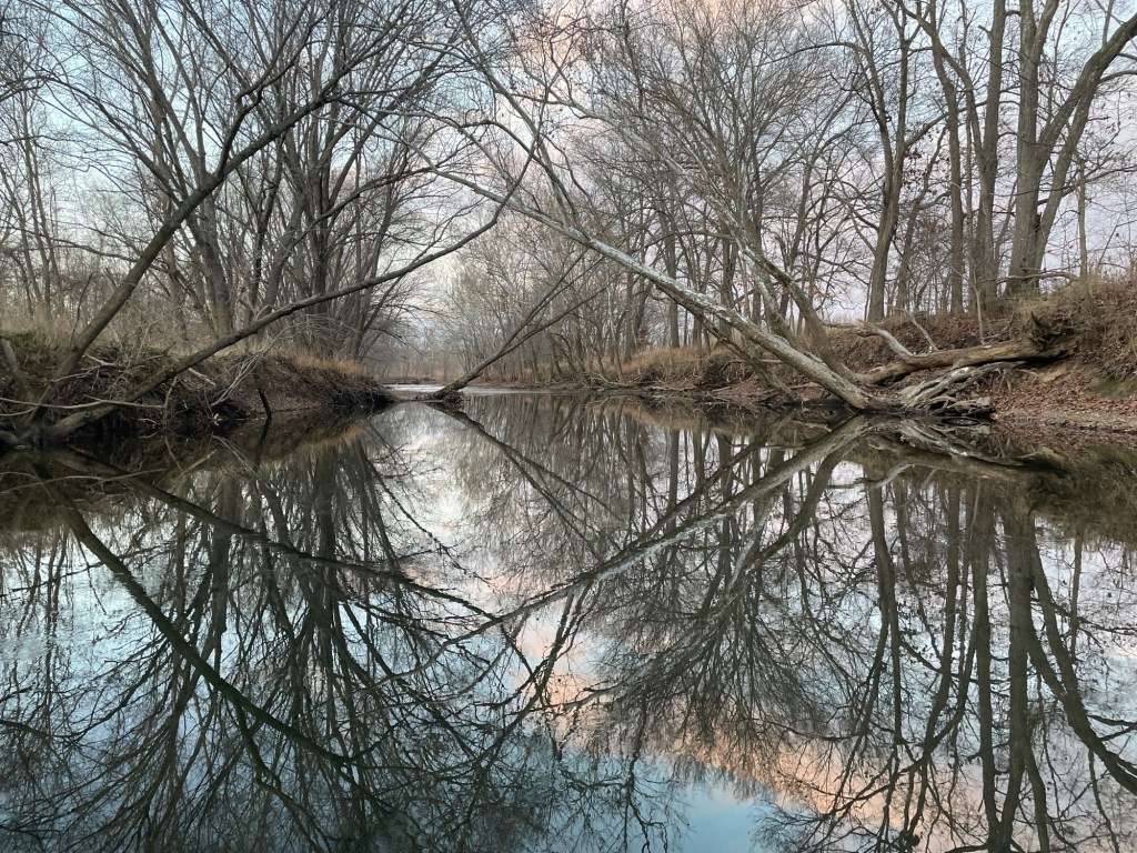 River Reflections and 2024